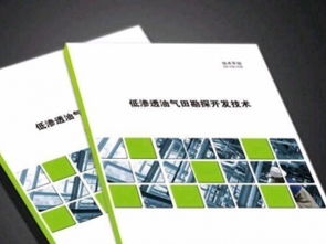 上海专业印刷厂 从画册到包装，品质与服务的完美结合